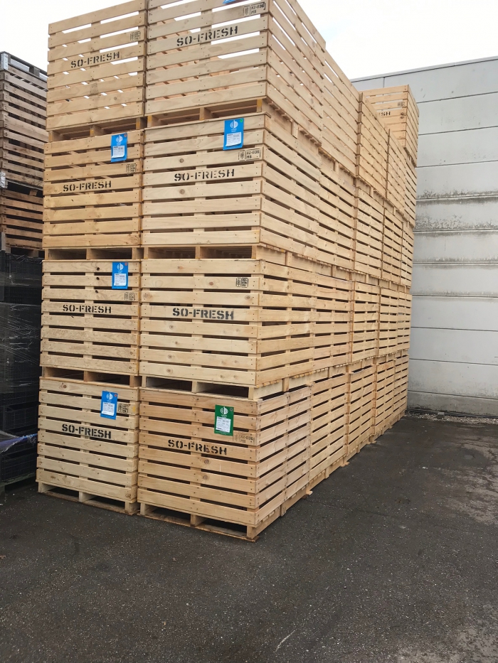 Kuubskisten palletboxen voorraadbakken aardappelkisten boxen -